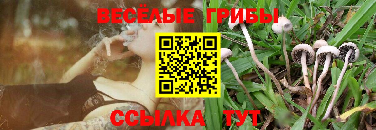 Южно-Сахалинск  Псилоцибиновые грибы мицелий  Вход с VPN 
